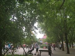 景点-朝阳公园