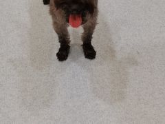 -萌兽医馆·犬猫专科·眼科中心·宠物医院(朝阳门分院)
