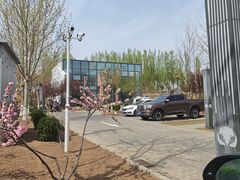 -瀛海足球主题公园