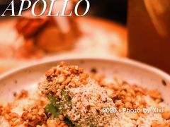 -Apollo·西班牙小酒馆(安福路店)