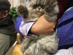 -藦茜花园宠物主题亲子互动体验馆(国顺东路店)