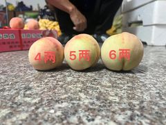 -南汇水蜜桃采摘(大团店)