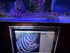 -太平洋海底世界