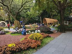 -汇龙潭