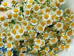 -漫山洋芋(大悦城店)