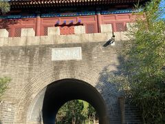 -云岗森林公园