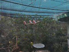-九龙公园