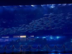 -成都浩海立方海洋公园