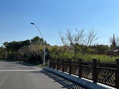 -自然谷恐龙园