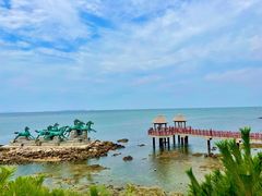 -养马岛旅游度假区