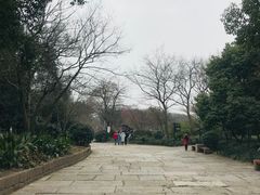 -西溪国家湿地公园