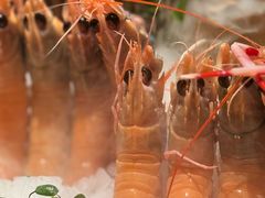 -水濑·日料放题(天河店)