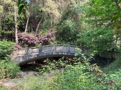 -铁山坪森林公园