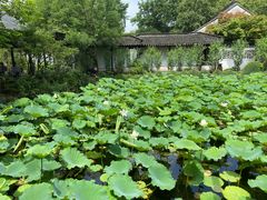 -上海醉白池公园