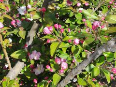 -元大都城垣遗址公园