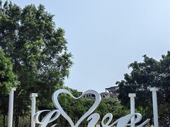 -广东花都湖国家湿地公园