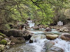 -大鄣山卧龙谷景区