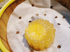 -佛山顺德香云纱园林酒店(清晖园店)