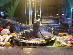 -漳州佰翔圆山酒店·圆山畔西餐厅