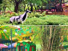 -晓港公园