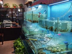 -挂旗柴锅鸡(蚌山区嘉年华店)