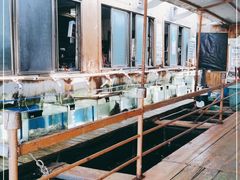 -蓝湾碧波·老字号·疍家非遗海上餐厅
