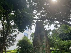 -南山图书馆(常兴路店)