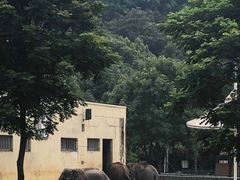 -无锡动物园·太湖欢乐园