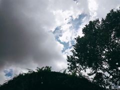 -上海动物园(地铁站)