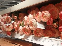 -宜家家居(哈尔滨商场店)