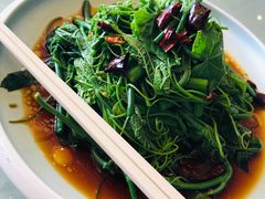 椒汁丝瓜尖-香浙汇(望京店)