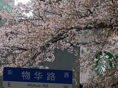 -玛格萝妮比萨屋(四平店)