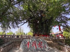 -大槐树寻根祭祖园