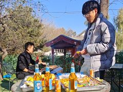 -尚庄度假村·庭台树下·户外烧烤·团建CS·轰趴营地(上庄水库店)