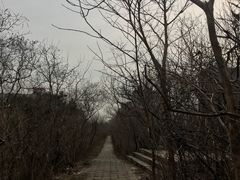 -元大都城垣遗址公园