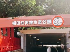 -福田红树林生态公园
