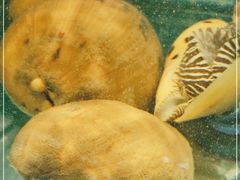 -三亚相缘海鲜·烧烤·糟粕醋(三亚湾店)
