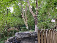 -春晖园度假酒店温泉