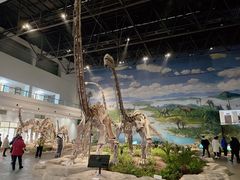 -自贡恐龙博物馆