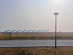 -东堤公园