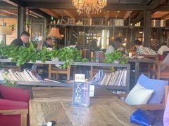 -D STAR COFFEE帝星咖啡