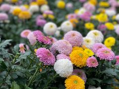-陕西省西安植物园