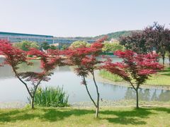 -上海佘山世茂艾美酒店