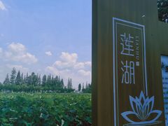 -大莲湖农家乐(青西郊野公园店)