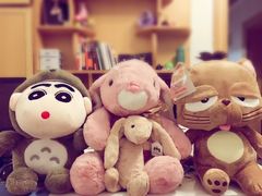 -PAWTOY爪e玩偶店(天兴罗斯福店)