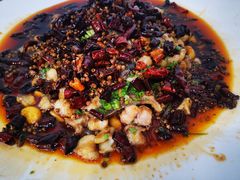 -颜氏双江清水鱼一养身火锅(磁器口店)