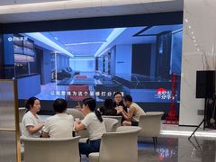 -点石家装(总部旗舰店)