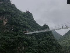 -牛背梁国家森林公园