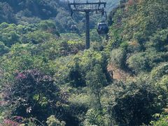 -广州市白云山风景名胜区