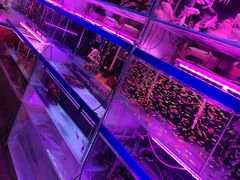 -三旗百汇商品城